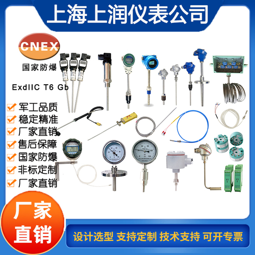 DBW-11一體化溫度變送器上海上潤(rùn)儀表