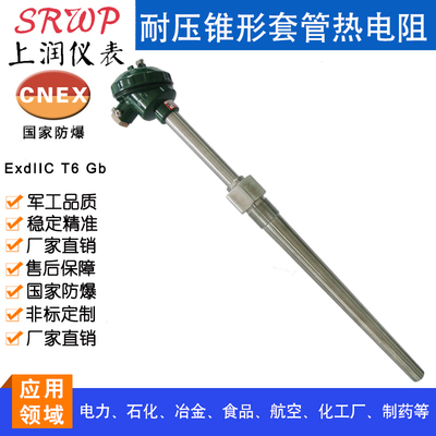 WZP-630耐压锥形套管热电阻  上润仪表