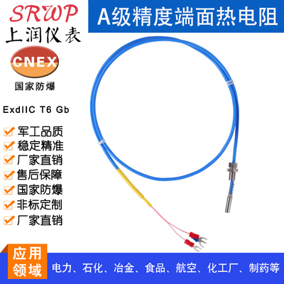 WZPM-201 A级精度端面热电阻 上润仪表