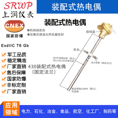 法兰连接装配式热电偶 上润仪表