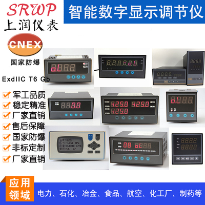 DDCB-34SZNN1智能调节仪上海上润仪表