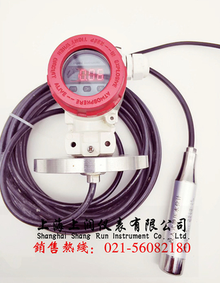 SRWP投入式液位变送器投入式液位计 上润仪表